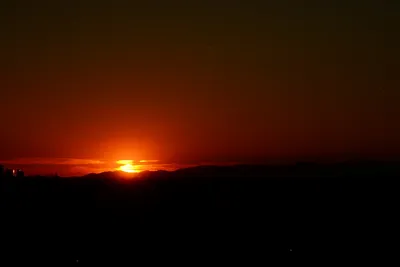 DSC_1480 (Large).JPG